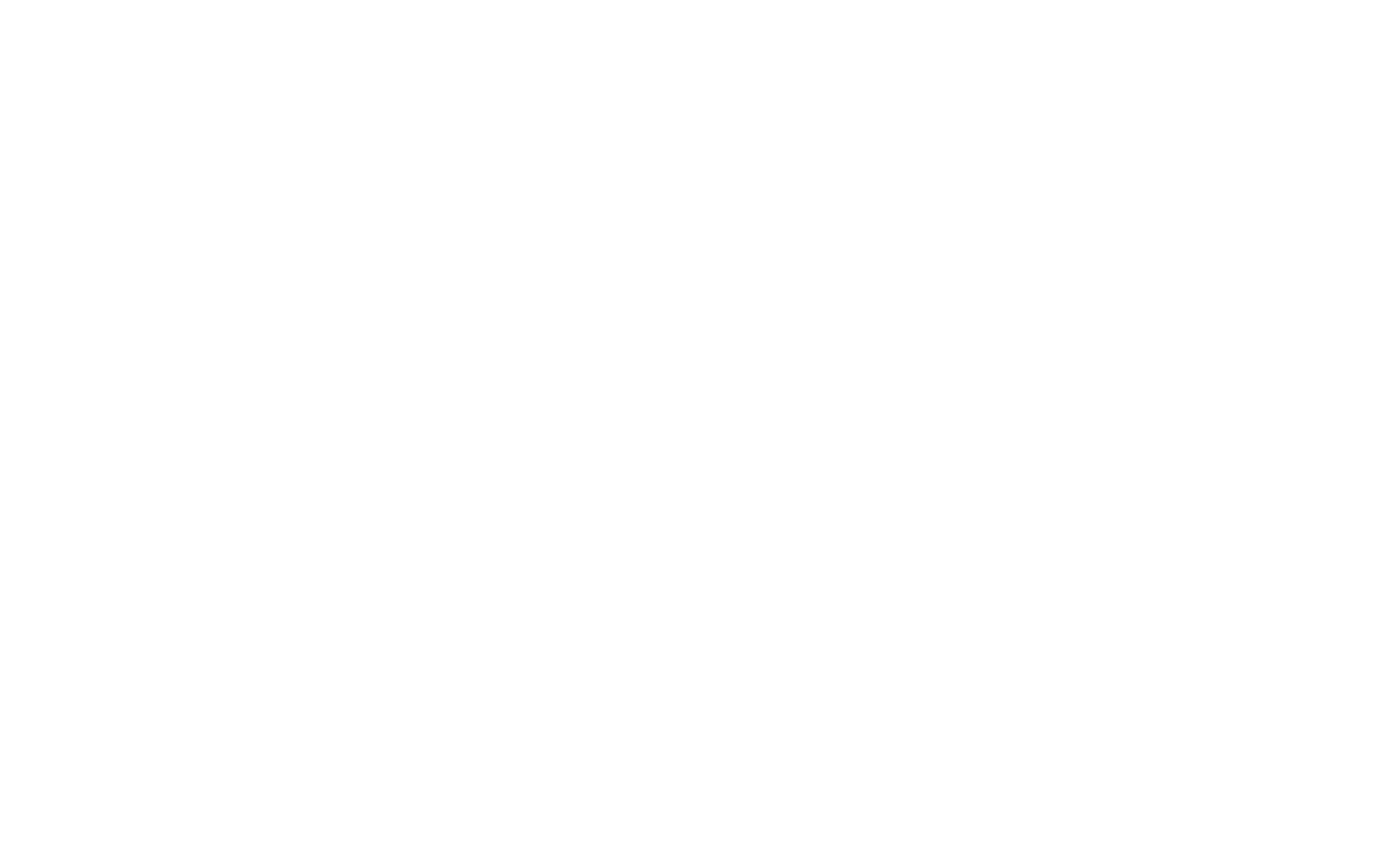 Advice Insurance Brokers L.L.C.